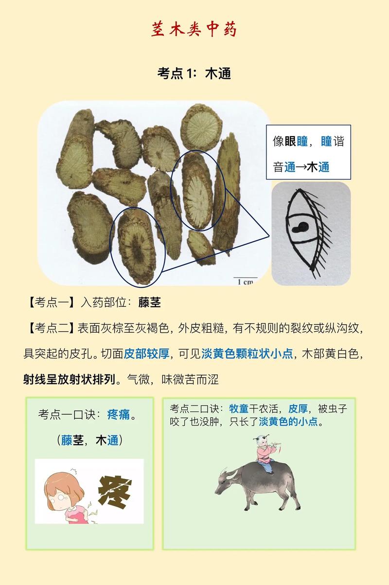 印健印度代购希爱力是真的吗？避坑指南与正品鉴别全攻略